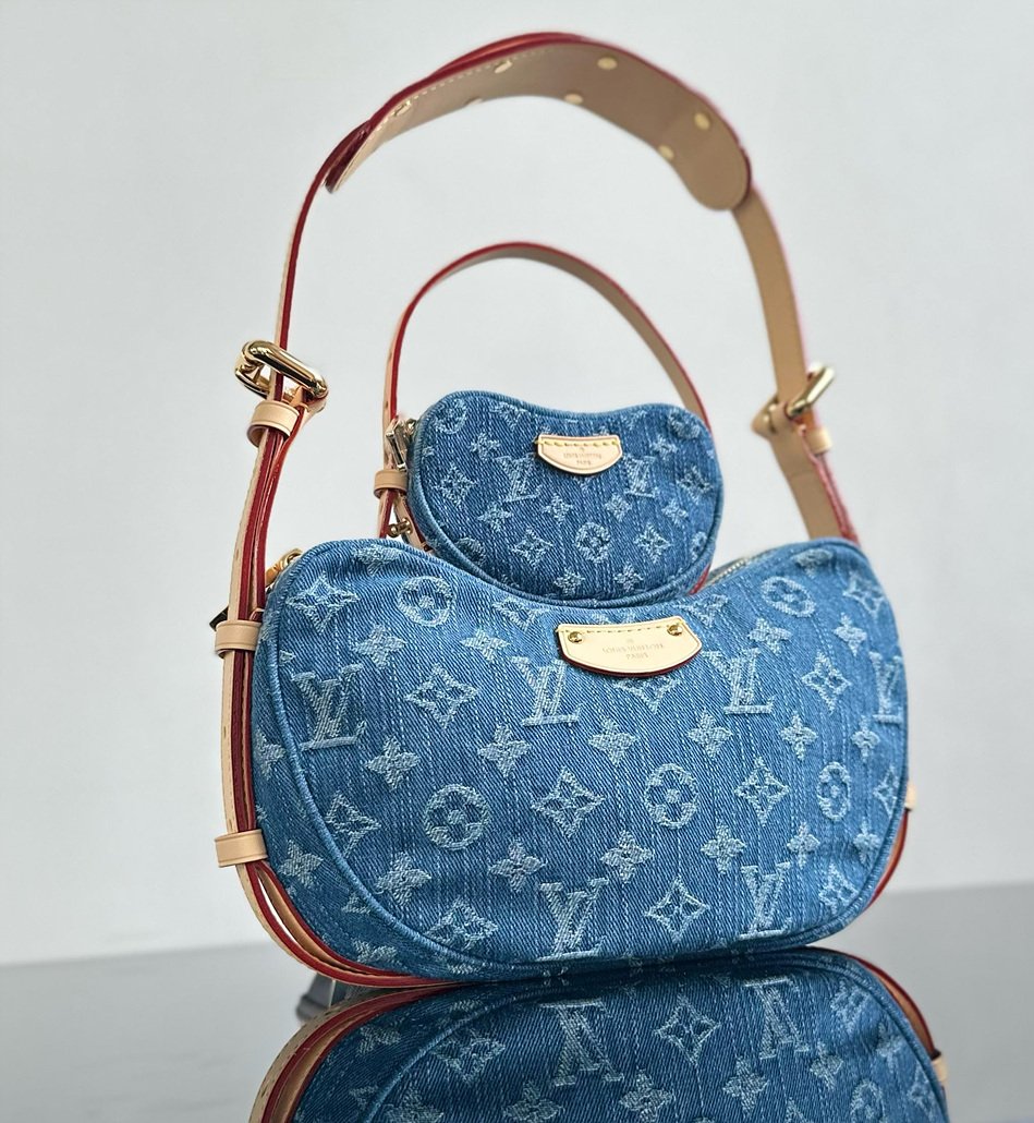 LOUIS VUITTON CROISSANT Medium Handbag M46856