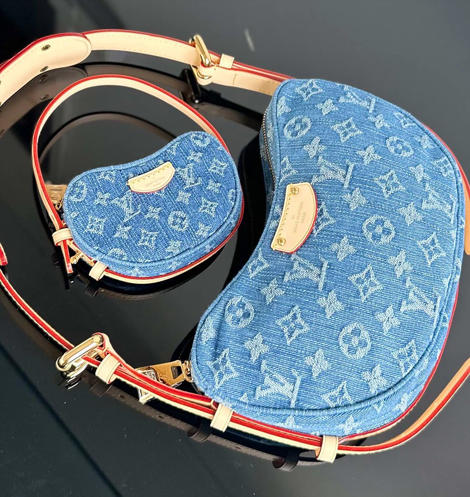 LOUIS VUITTON CROISSANT Medium Handbag M46856