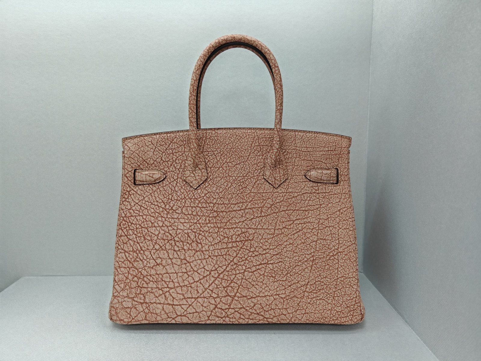✨Birkin30