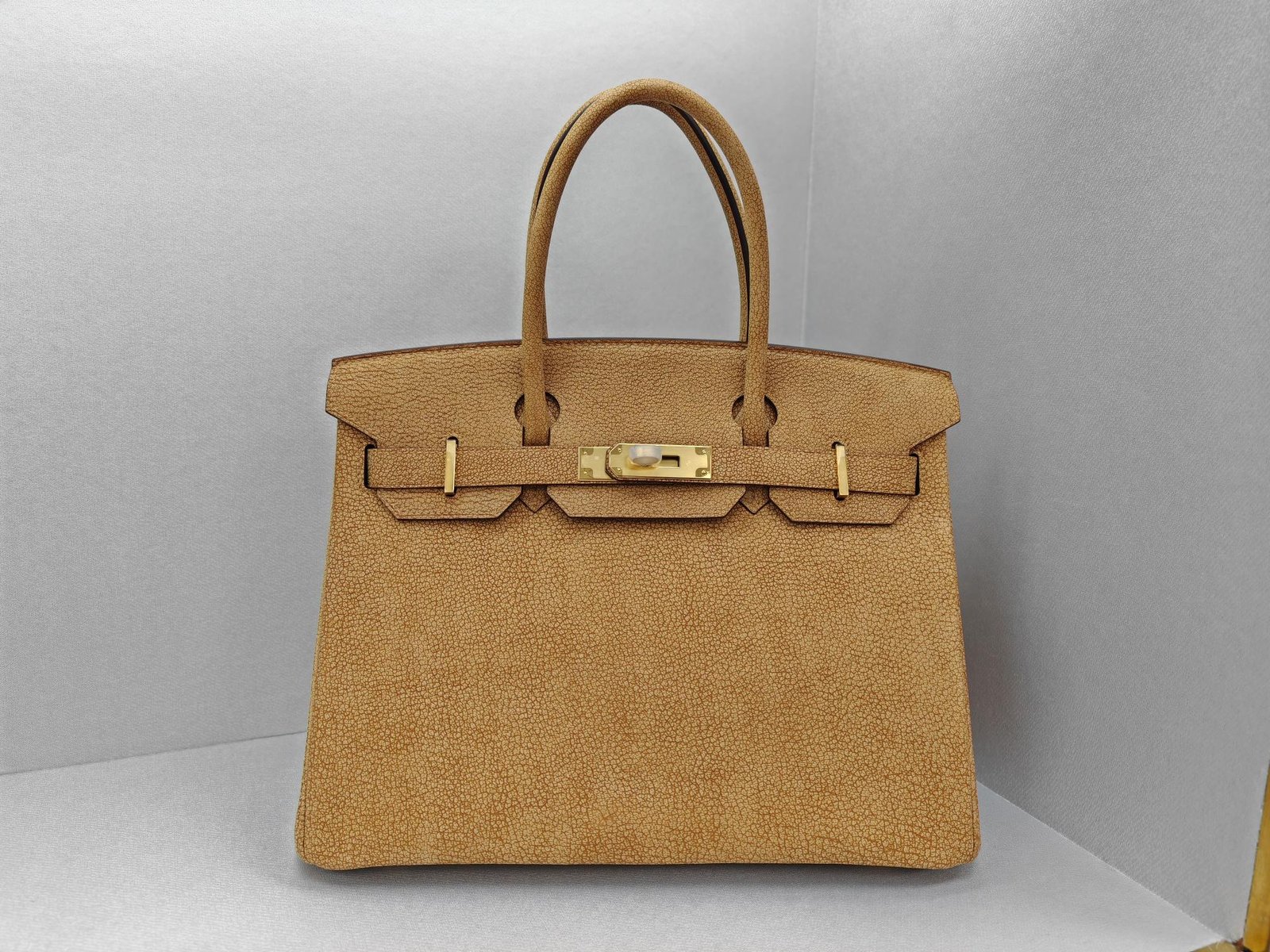 ✨Birkin30