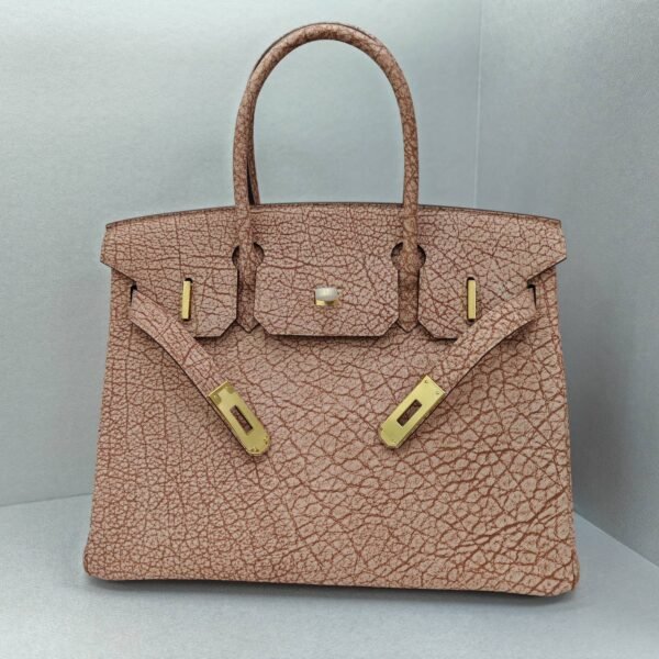 ✨Birkin30