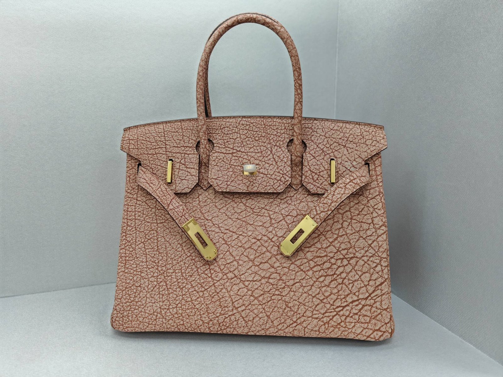 ✨Birkin30