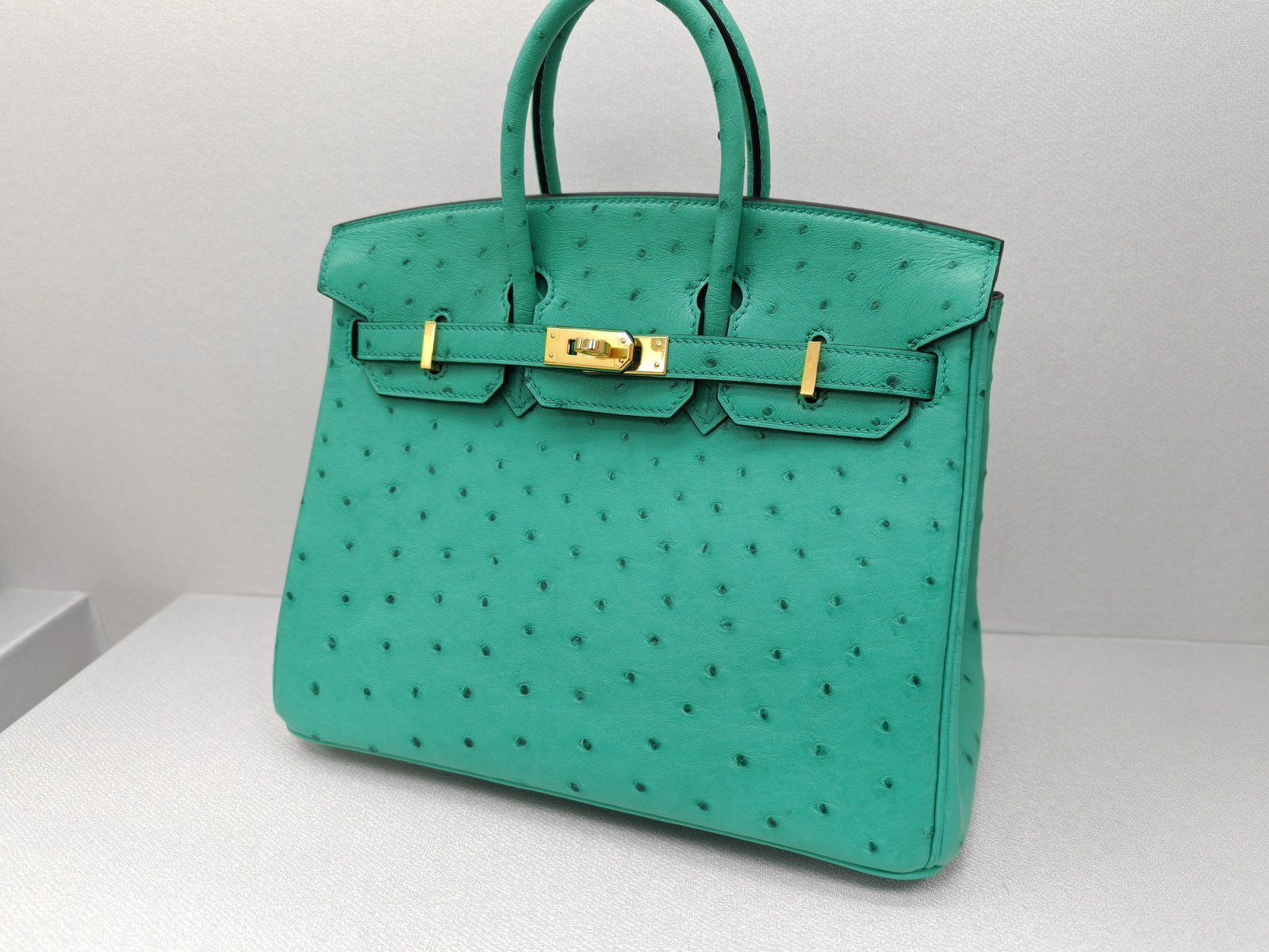 ✨Birkin25