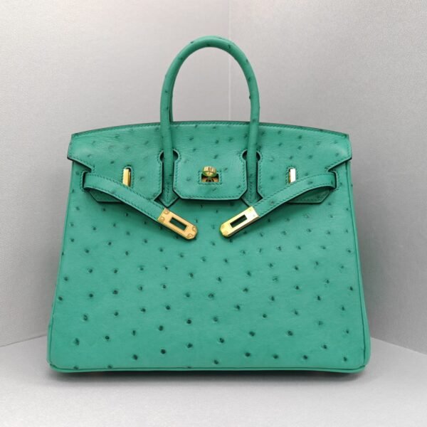 ✨Birkin25
