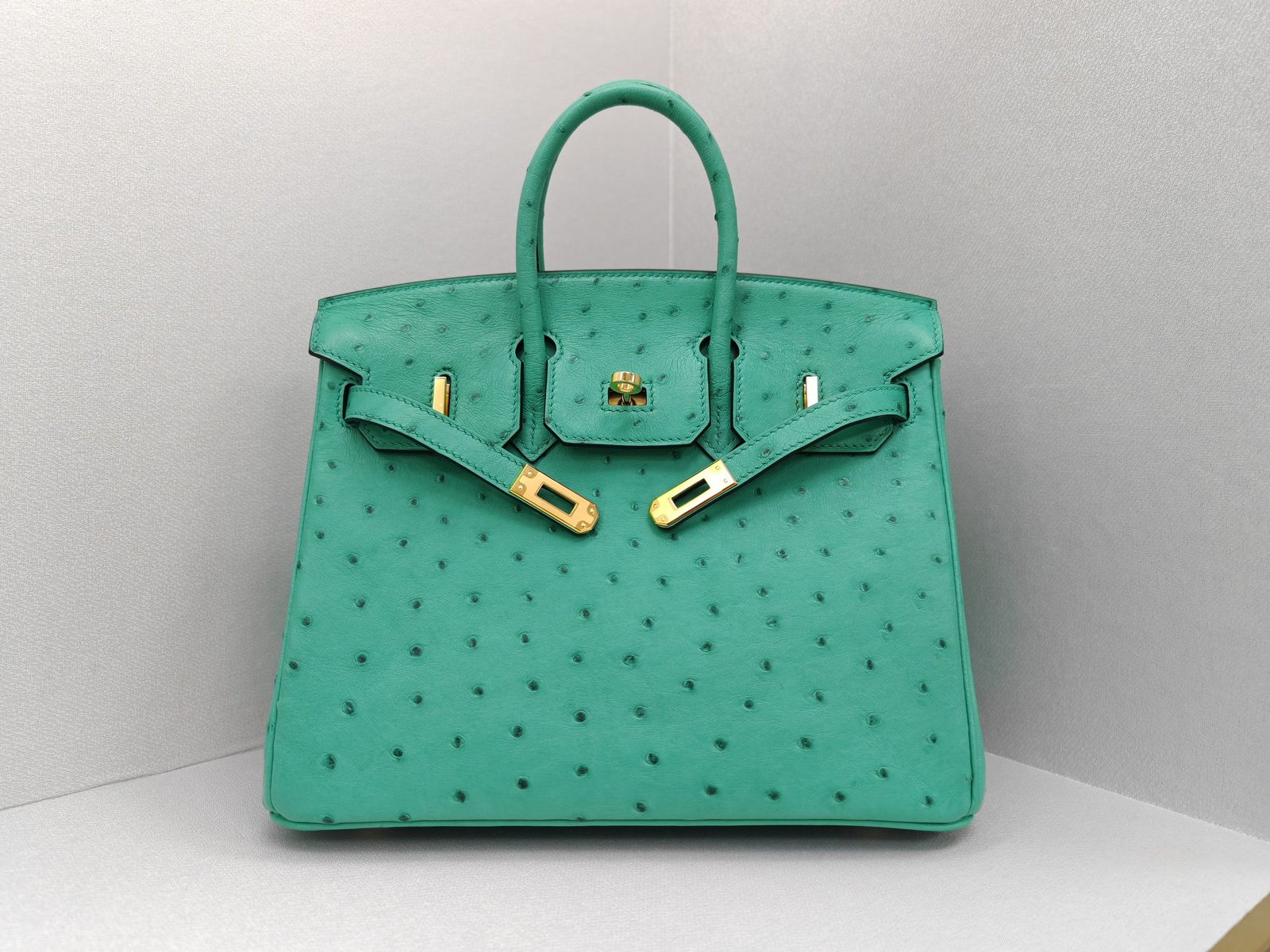 ✨Birkin25
