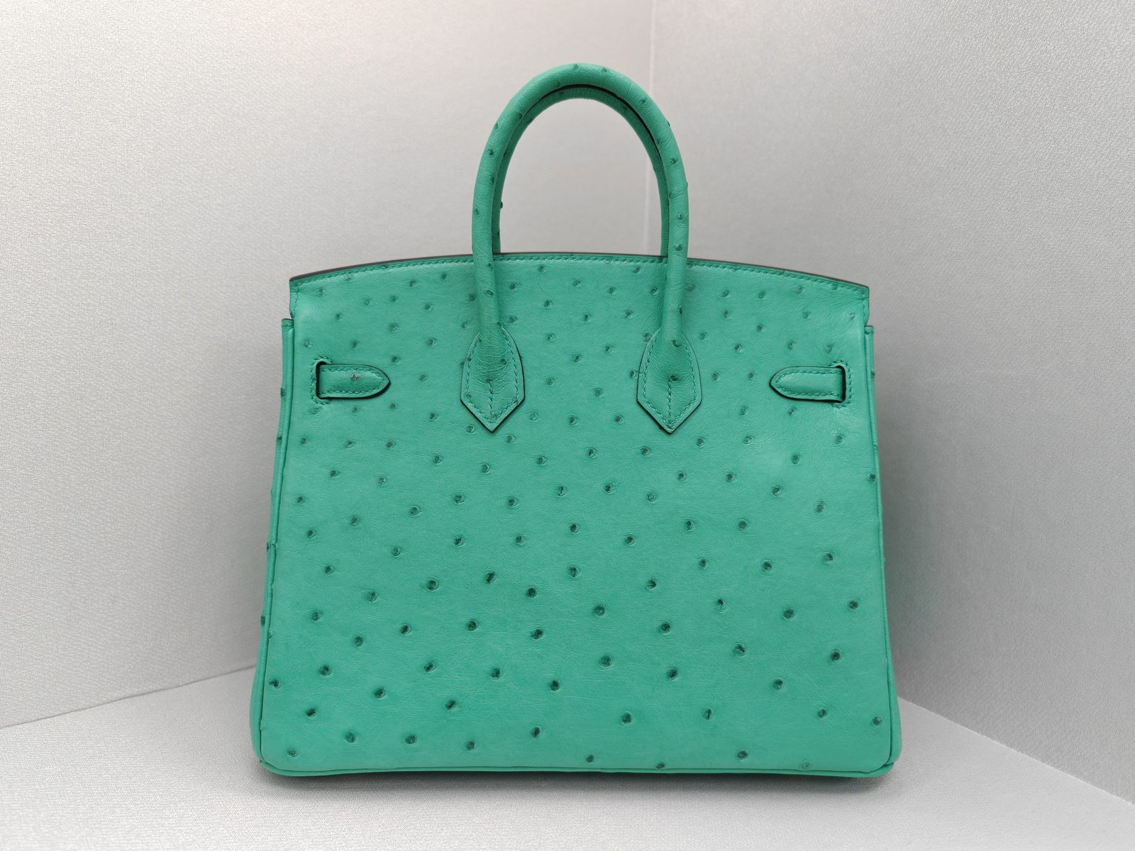 ✨Birkin25