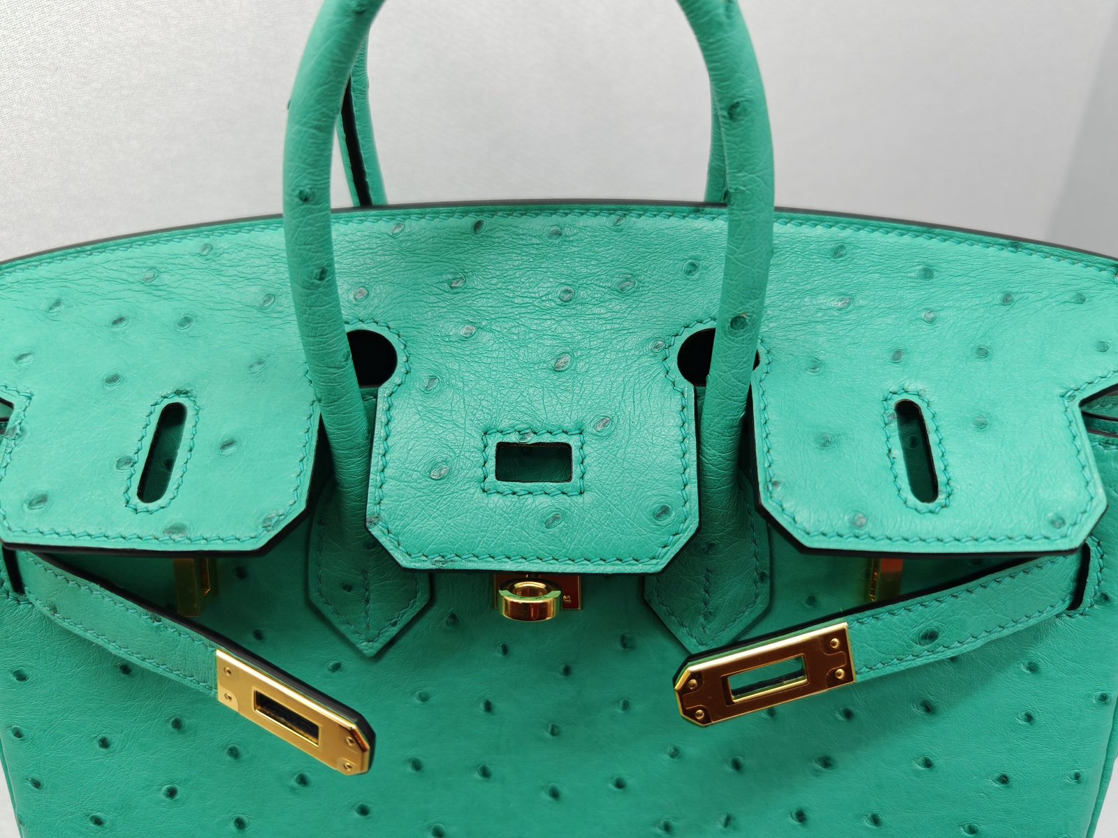 ✨Birkin25
