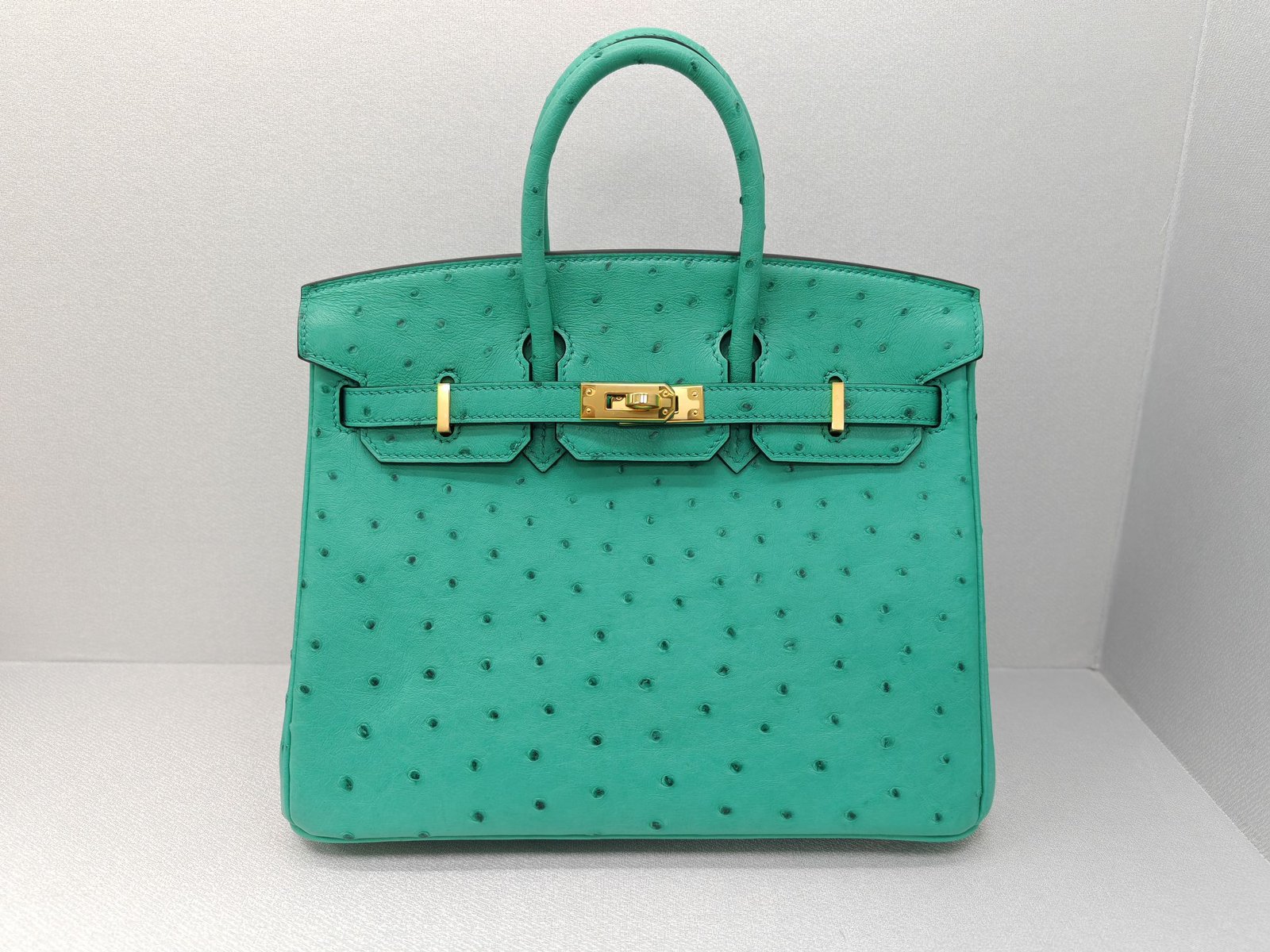 ✨Birkin25