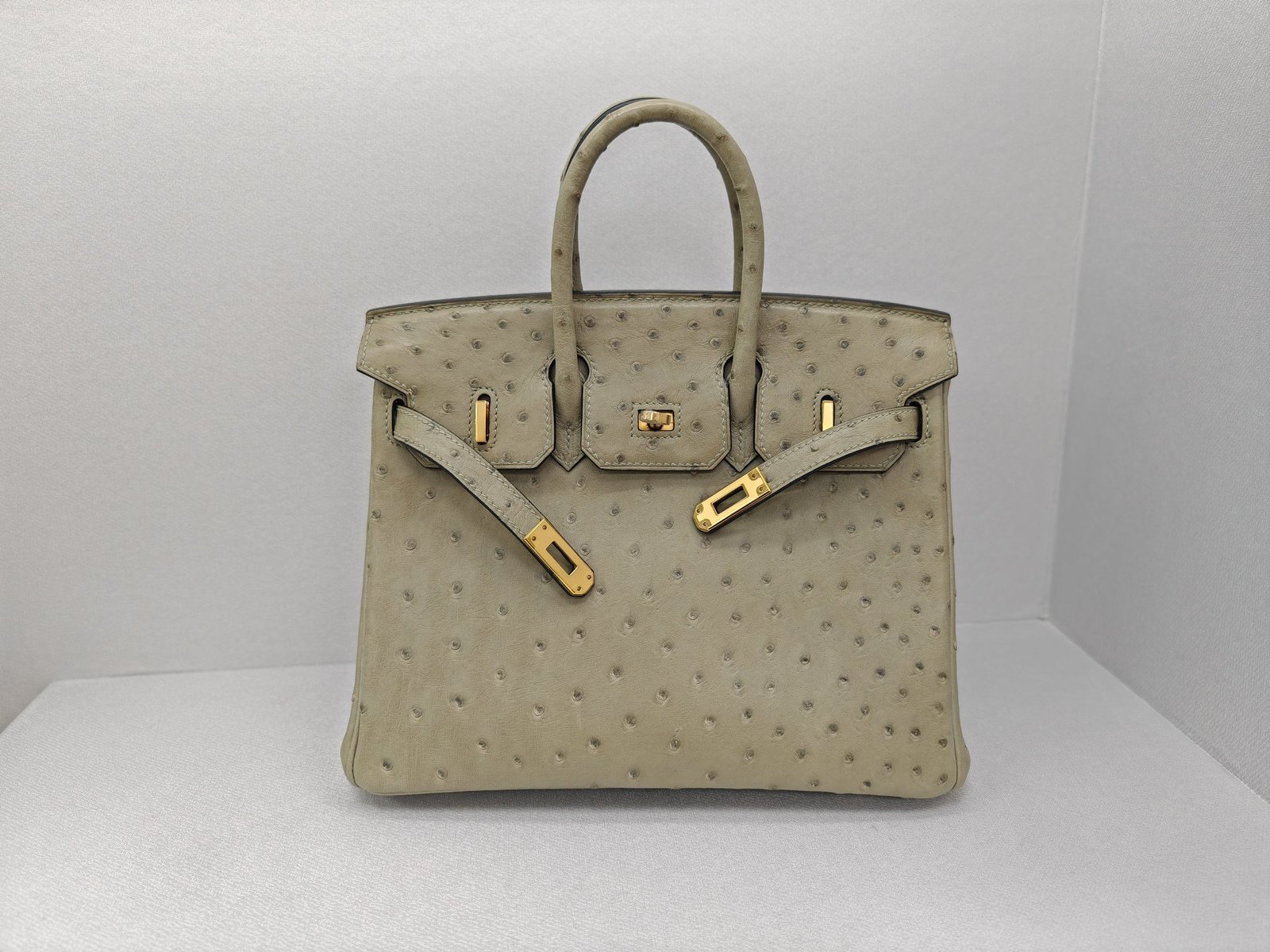 ✨Birkin25