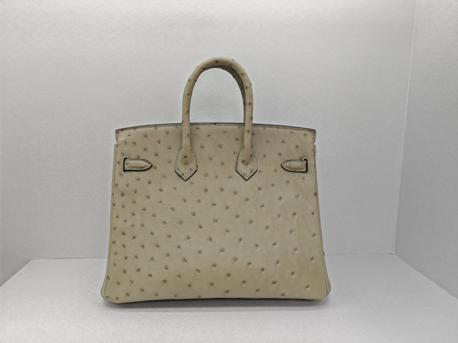 ✨Birkin25