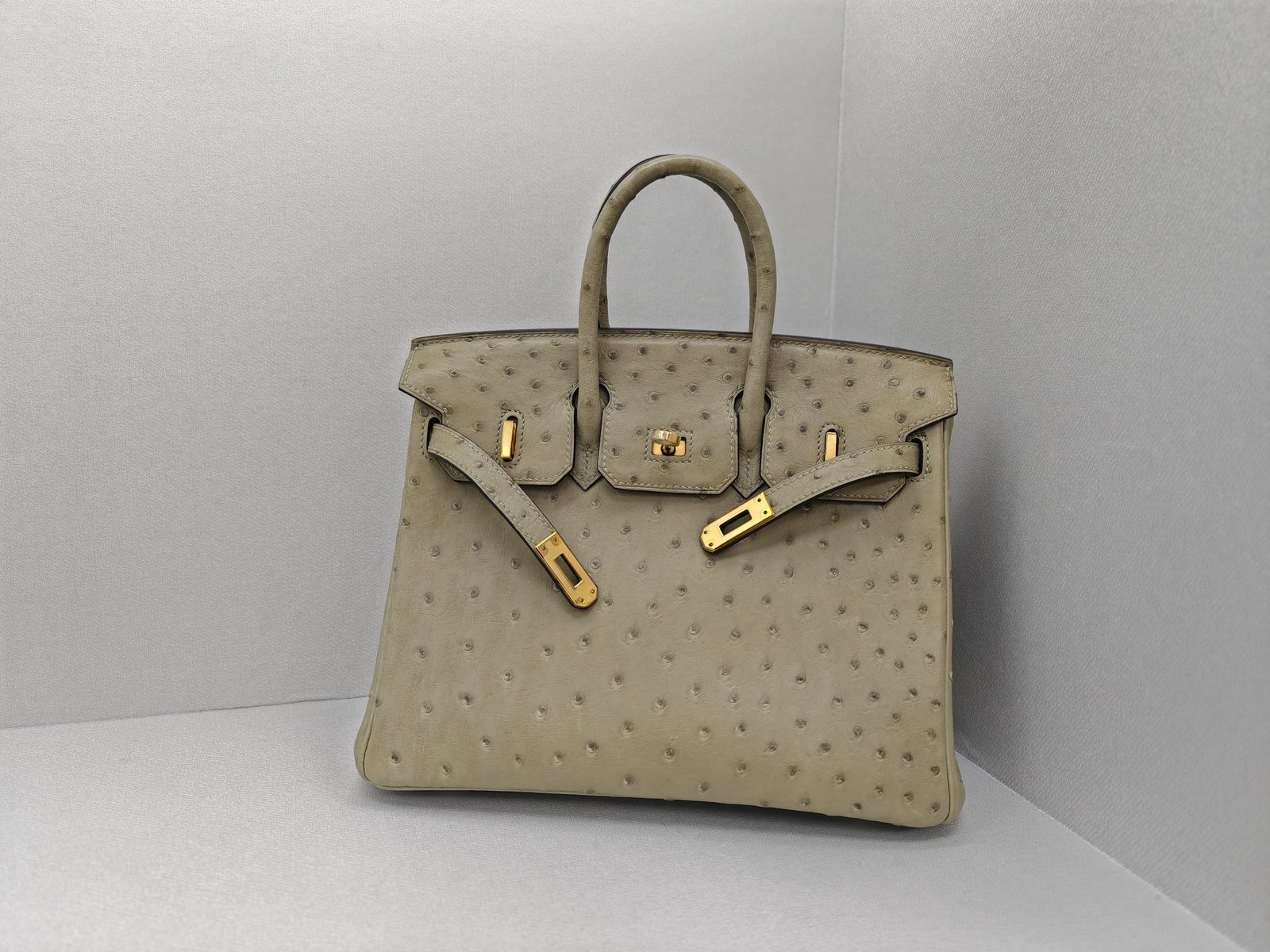 ✨Birkin25