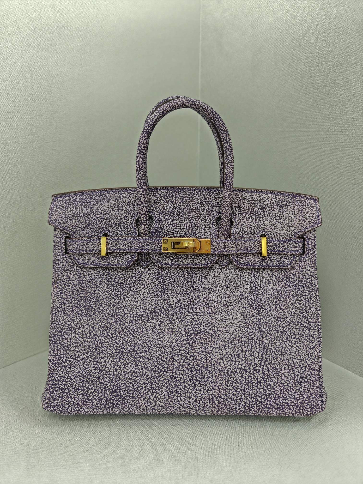 ✨Birkin25