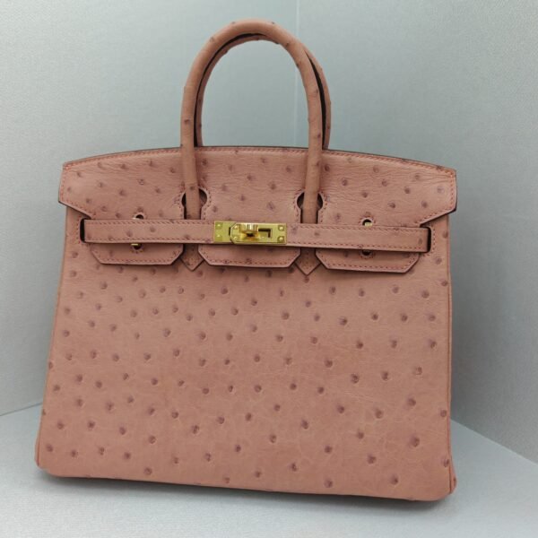 ✨Birkin25