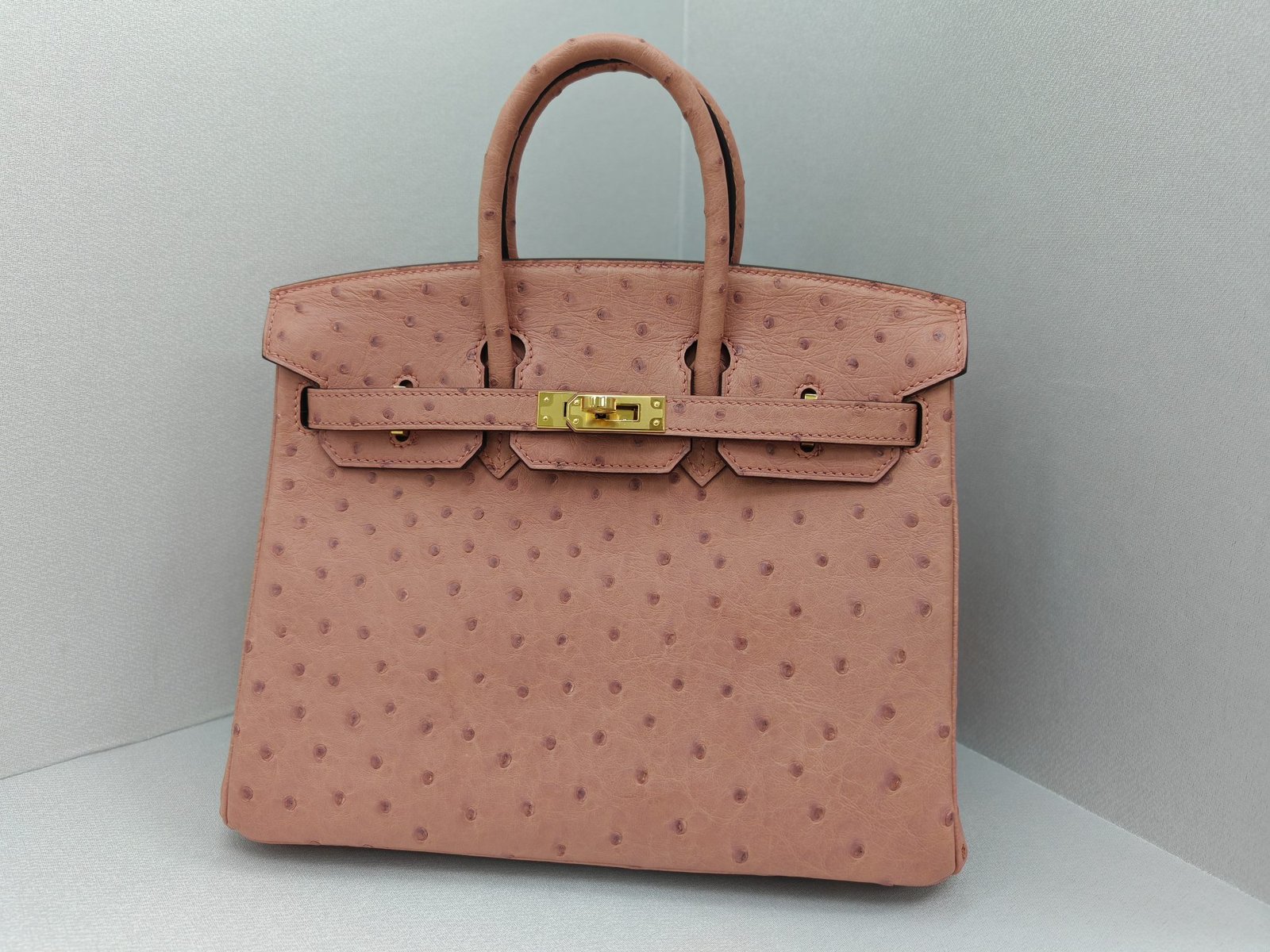 ✨Birkin25