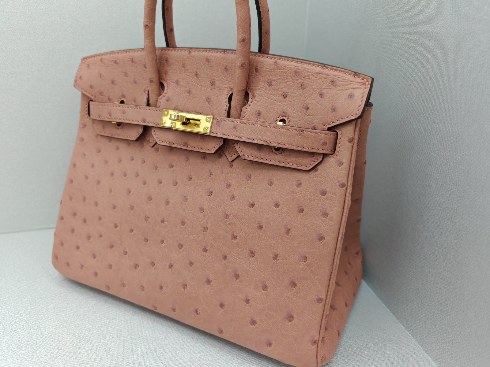 ✨Birkin25