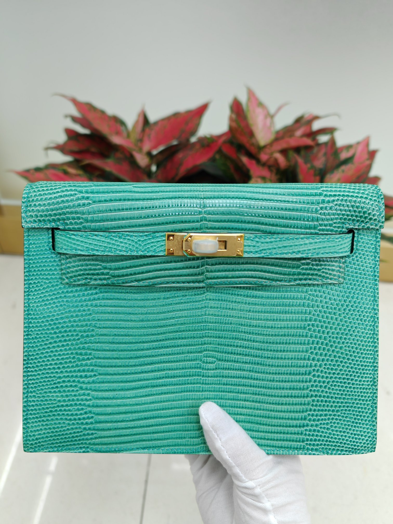 ✨Kelly Danse