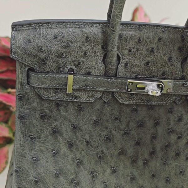 ✨Birkin25