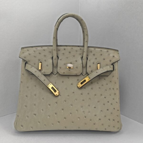 ✨Birkin25