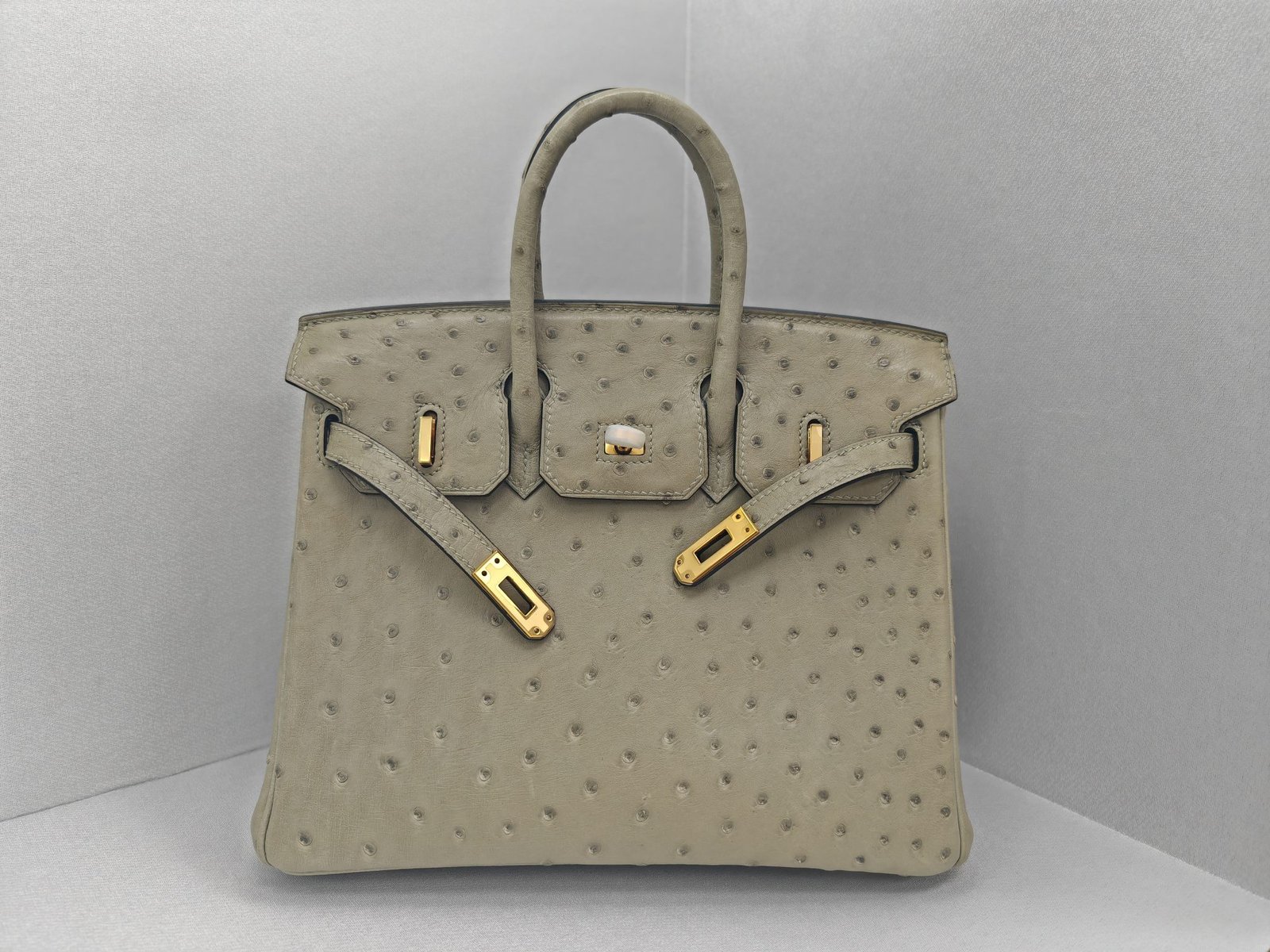 ✨Birkin25