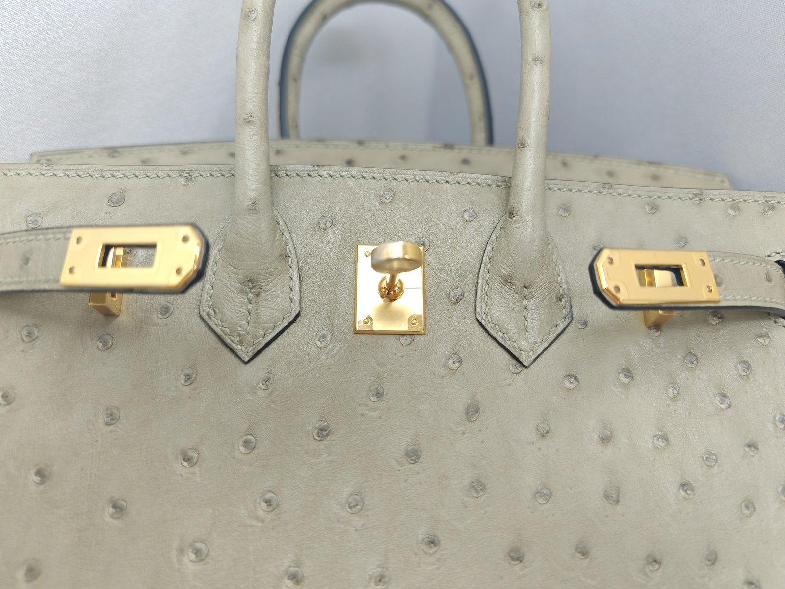 ✨Birkin25