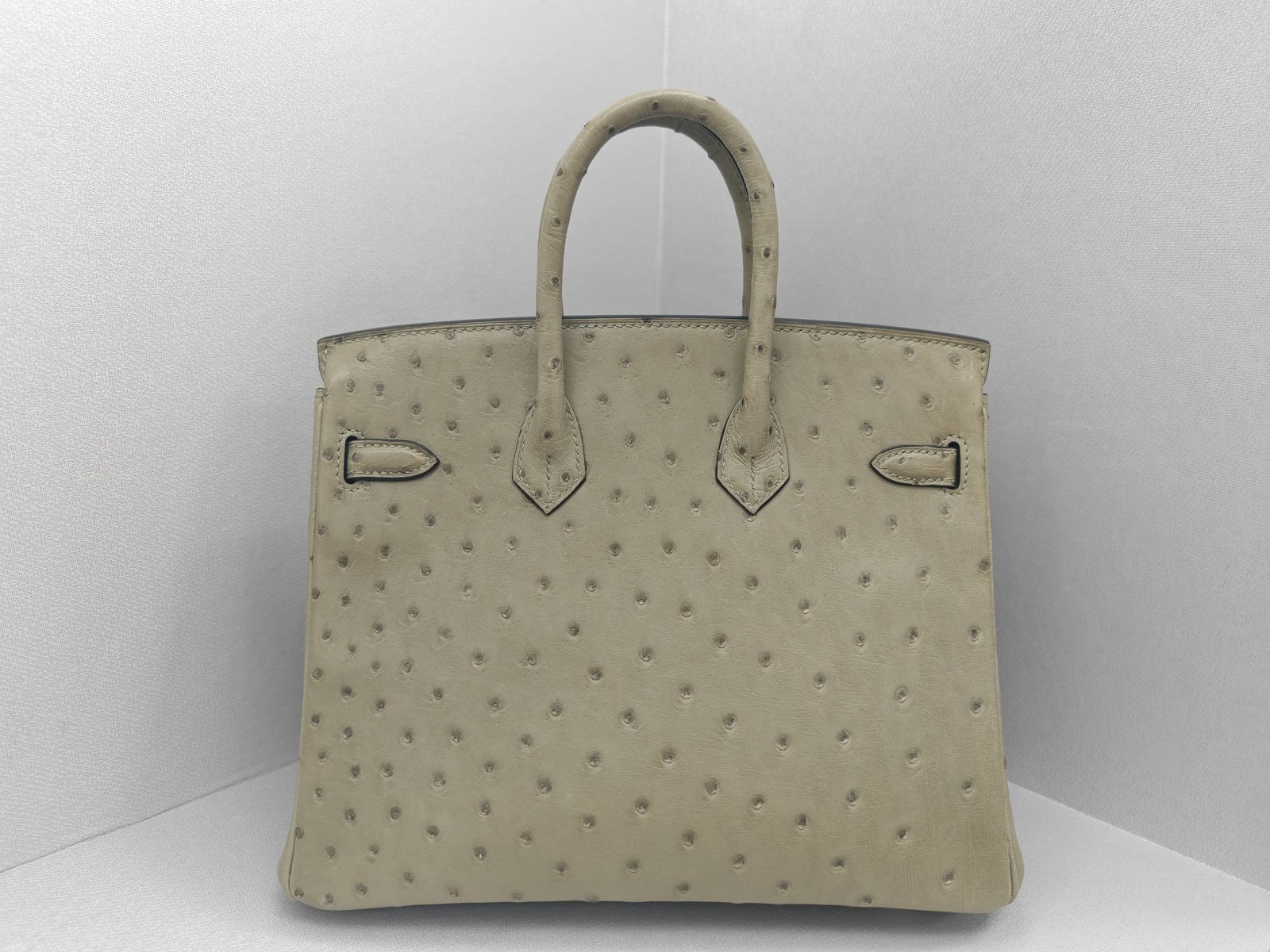 ✨Birkin25