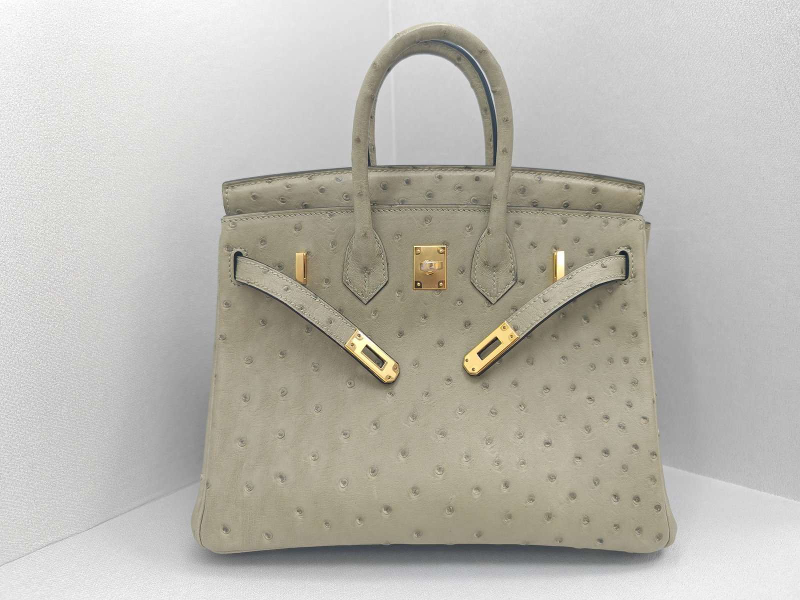 ✨Birkin25