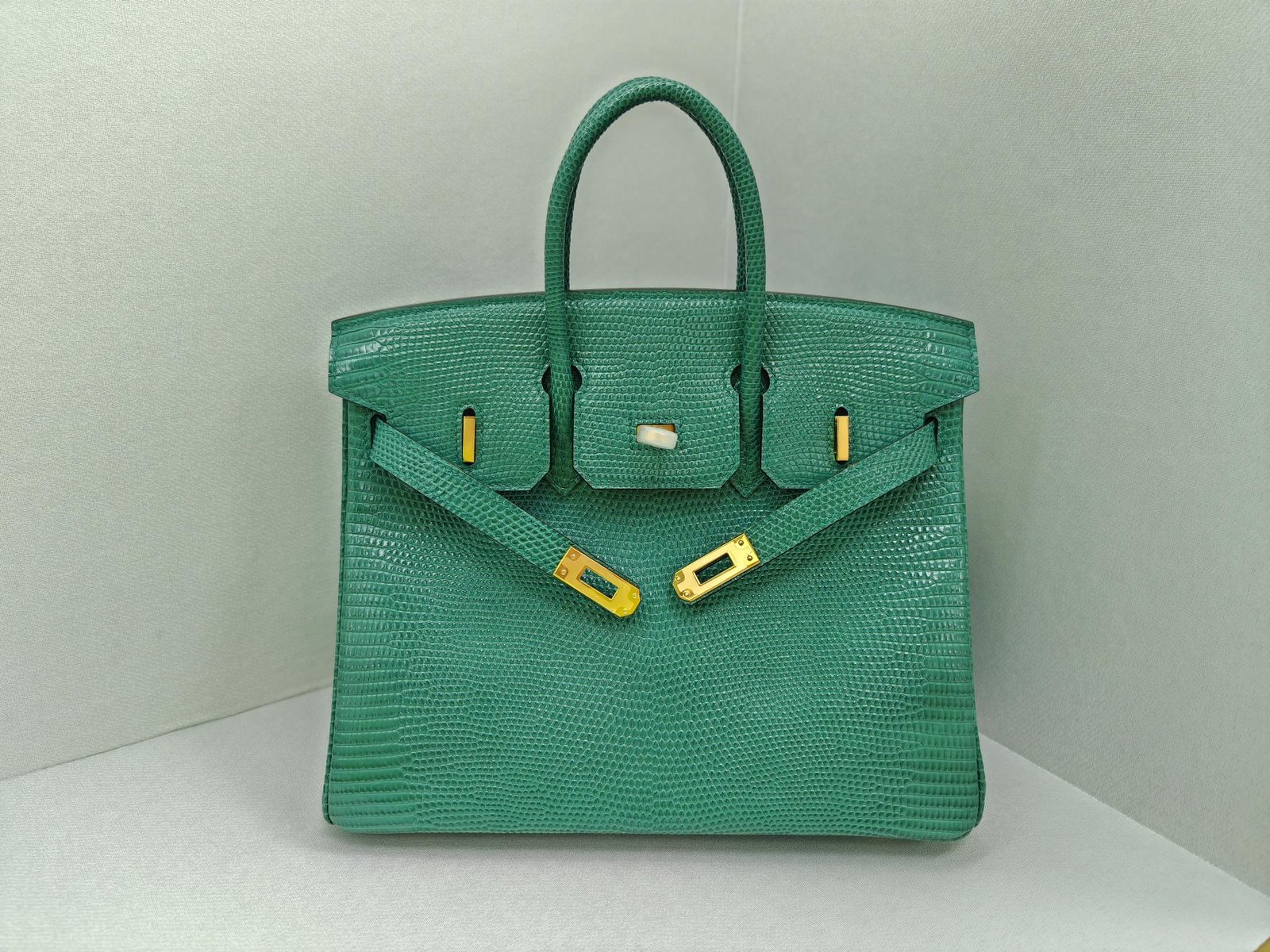 ✨Birkin25
