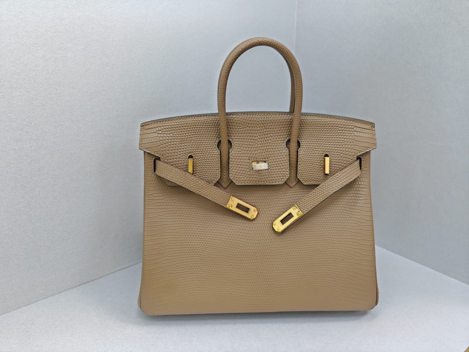 ✨Birkin25