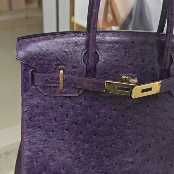 ✨Birkin30