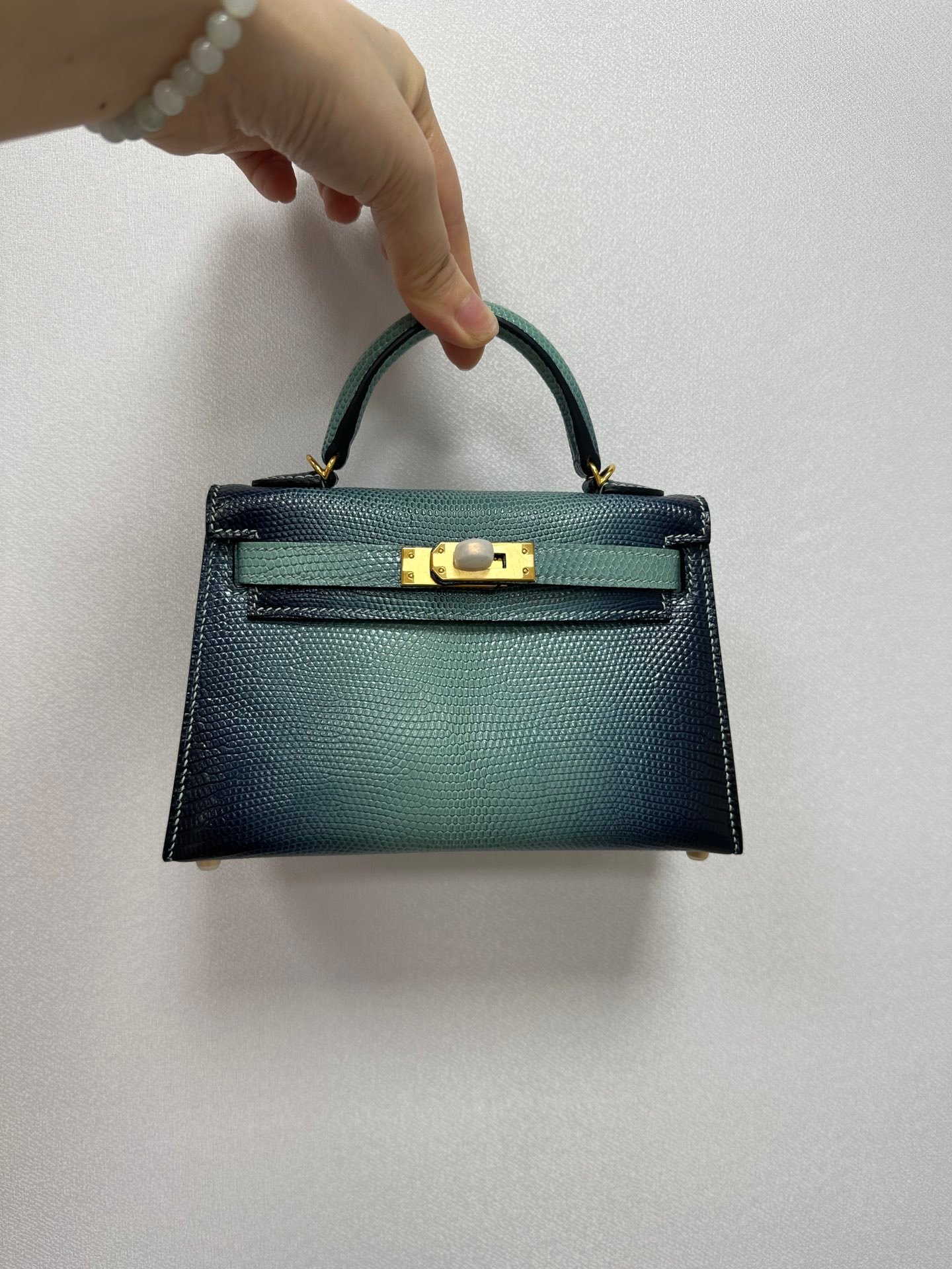Kelly19蜥蜴皮