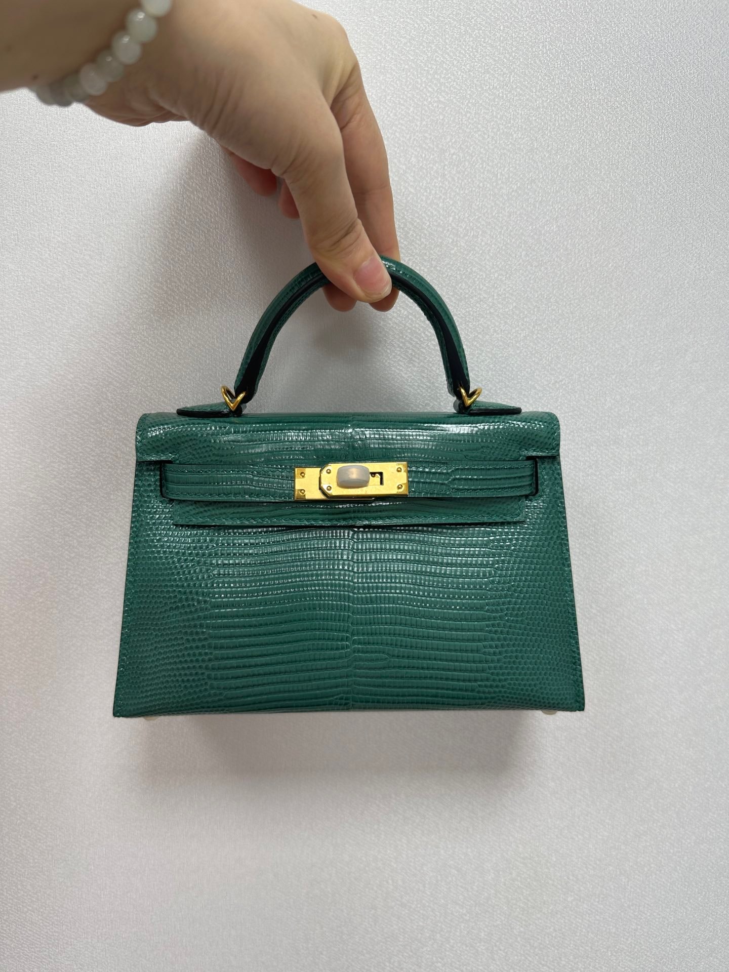 Kelly19蜥蜴皮