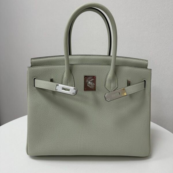 ✨Birkin30