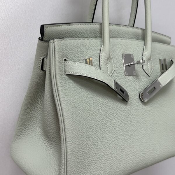✨Birkin30