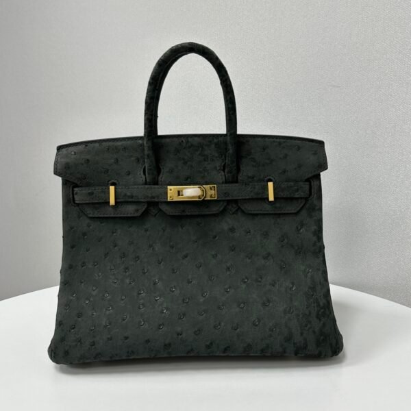 ✨Birkin25