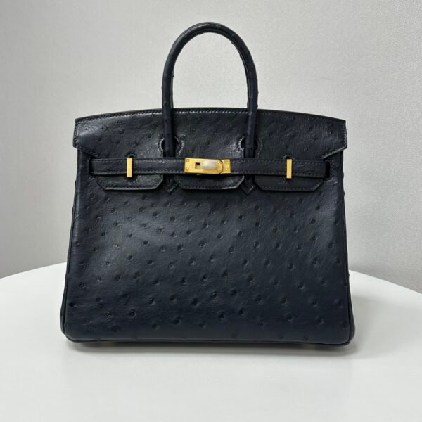 ✨Birkin25