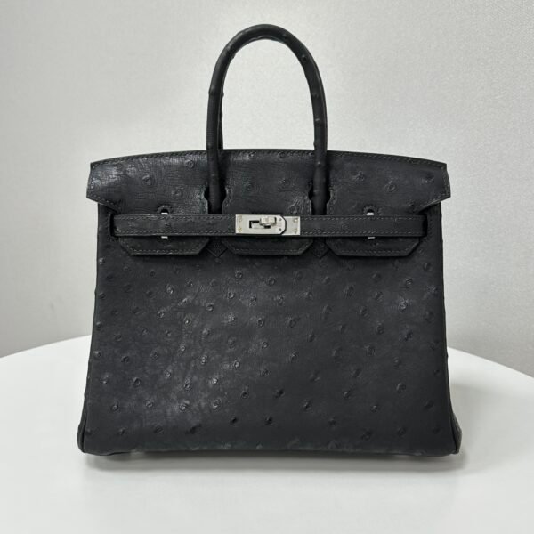 ✨Birkin25
