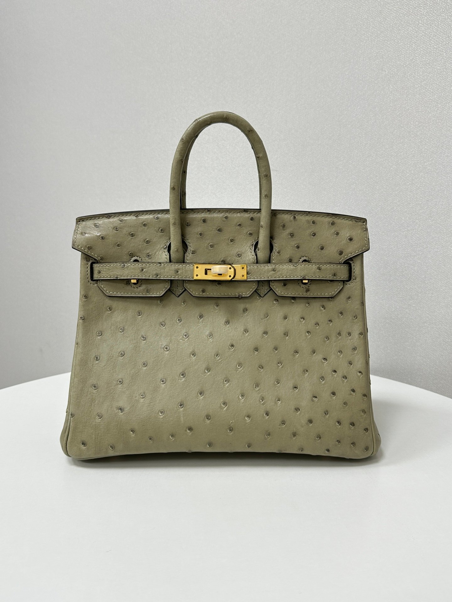 ✨Birkin25