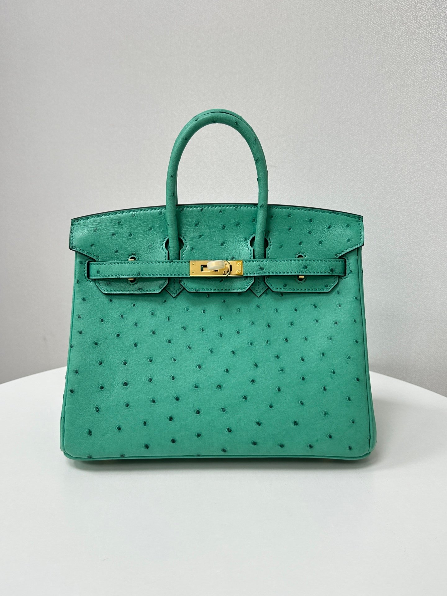 ✨Birkin25
