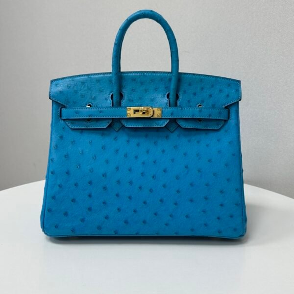 ✨Birkin25