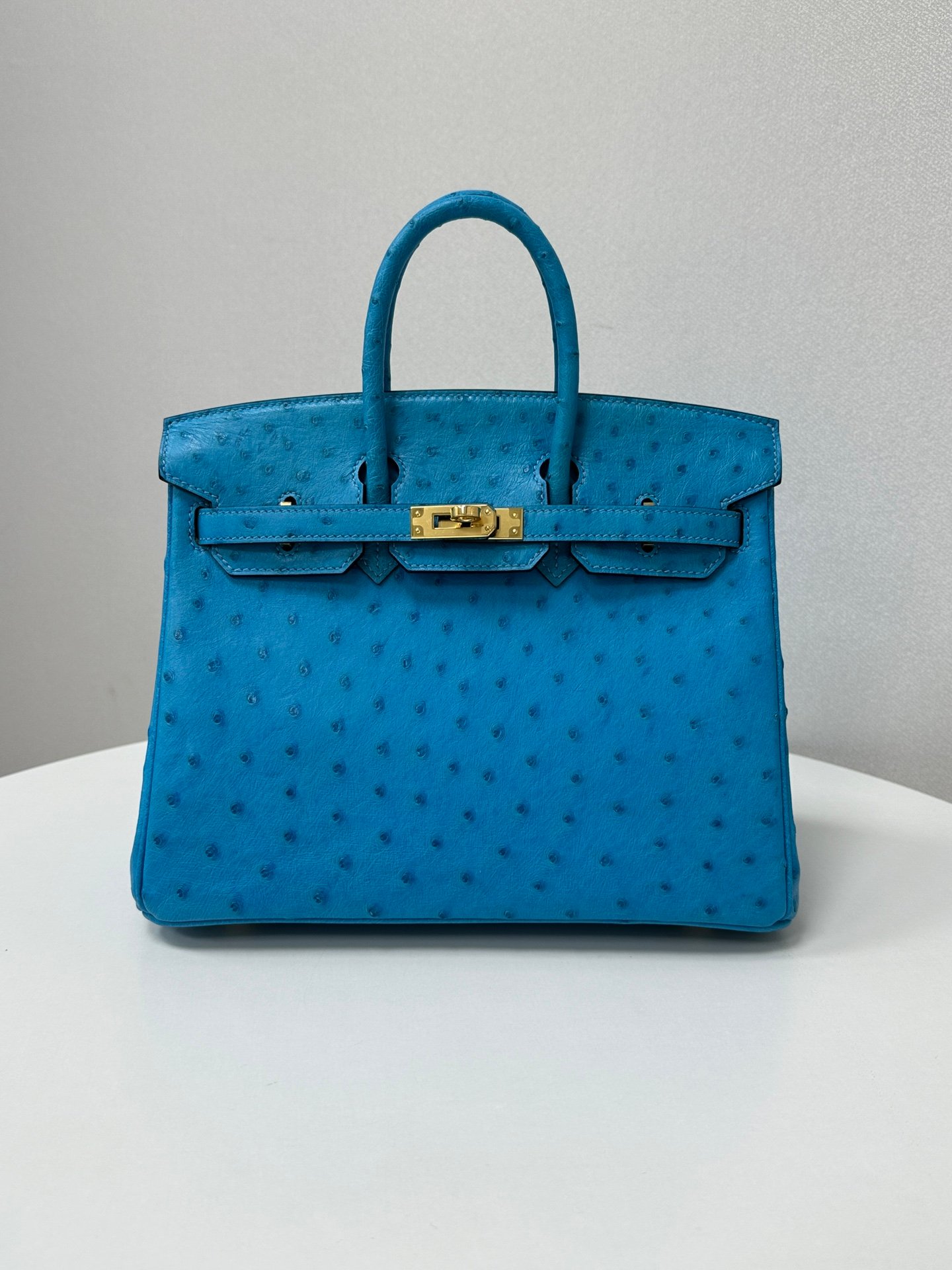 ✨Birkin25