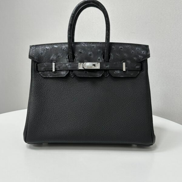 ✨Birkin25