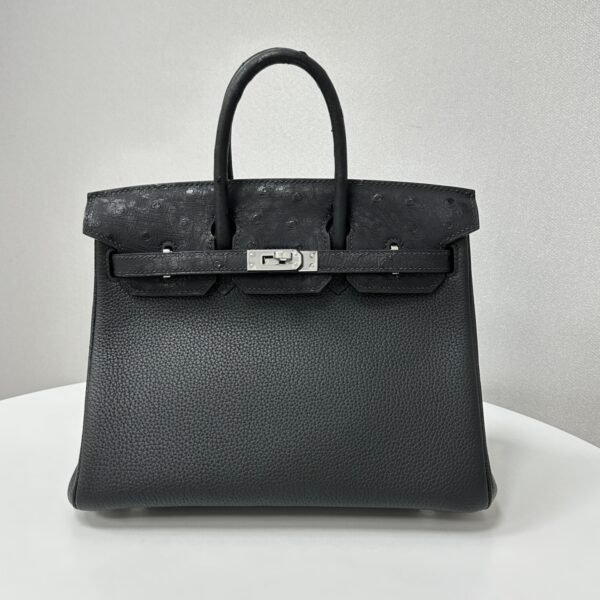 ✨Birkin25