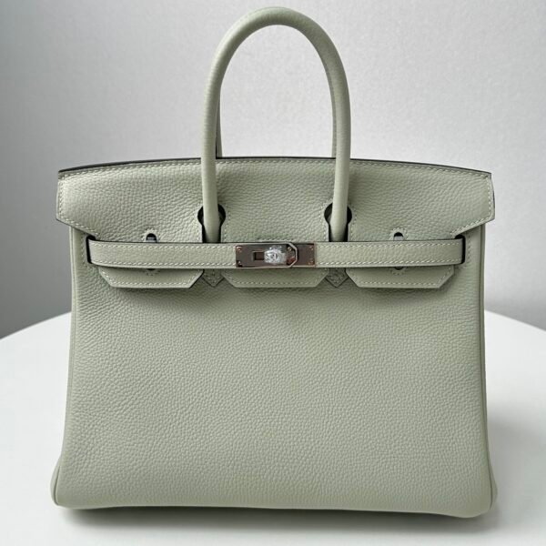 ✨Birkin25