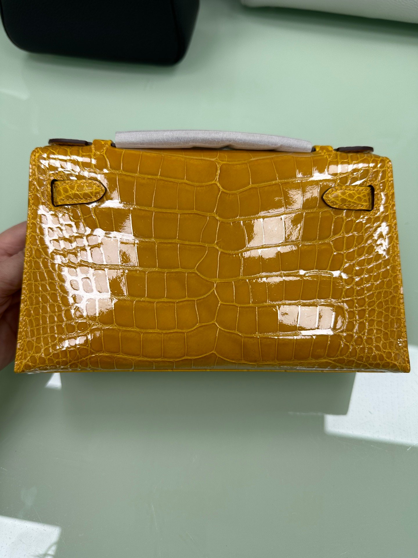 ✨Kelly一代