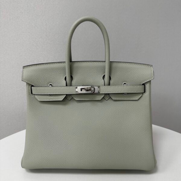 ✨Birkin25