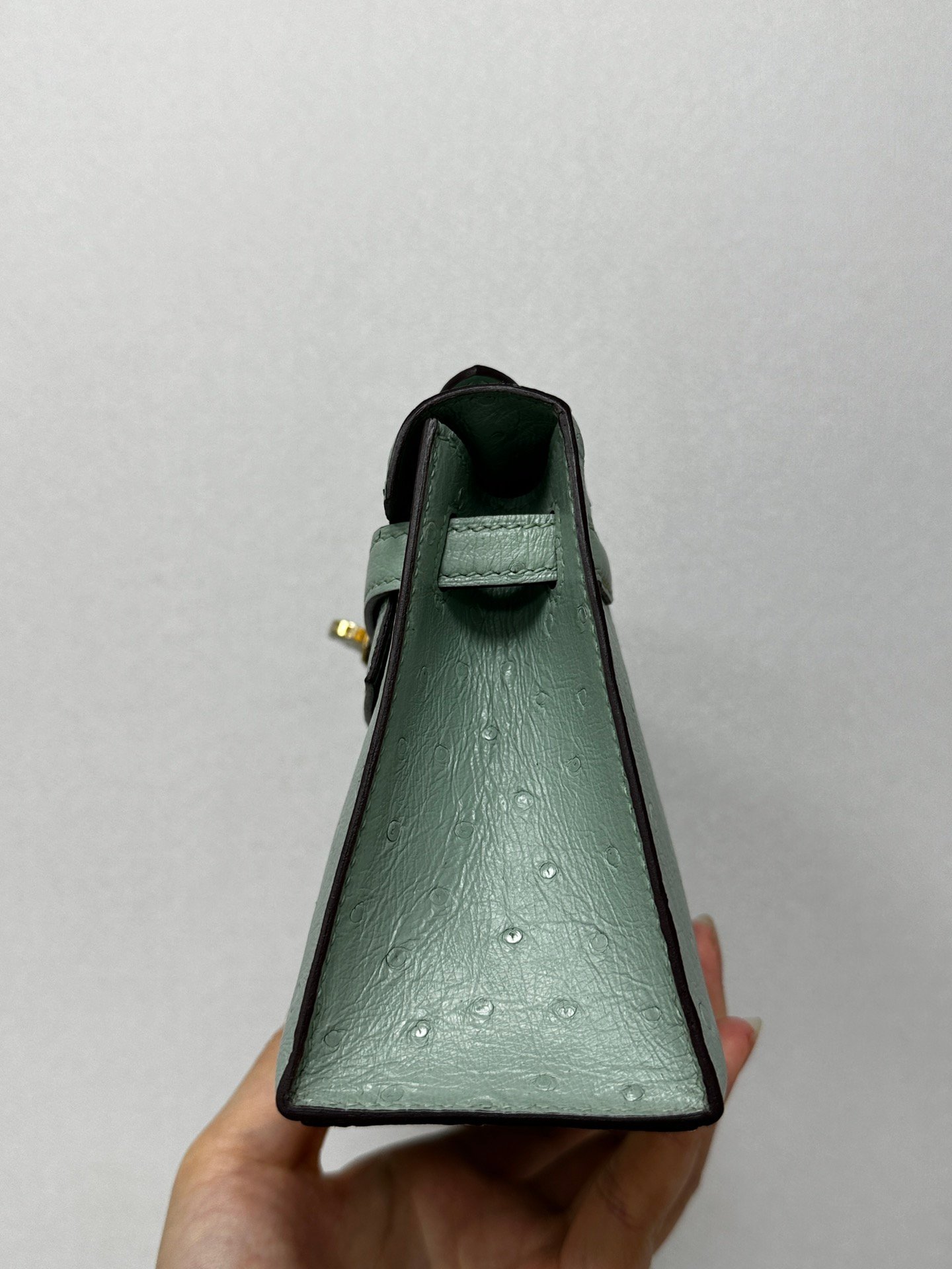 Kelly一代