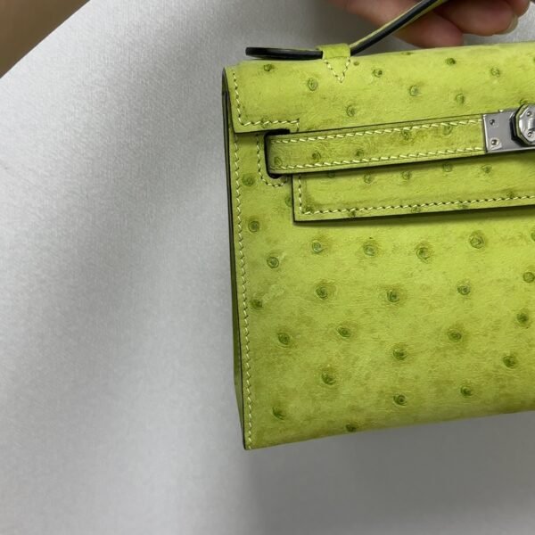 Kelly一代