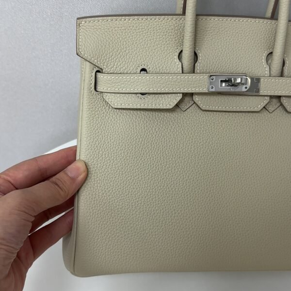 Birkin25