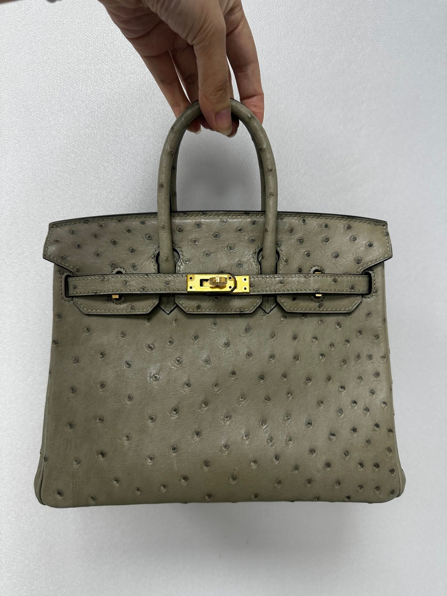 Birkin25