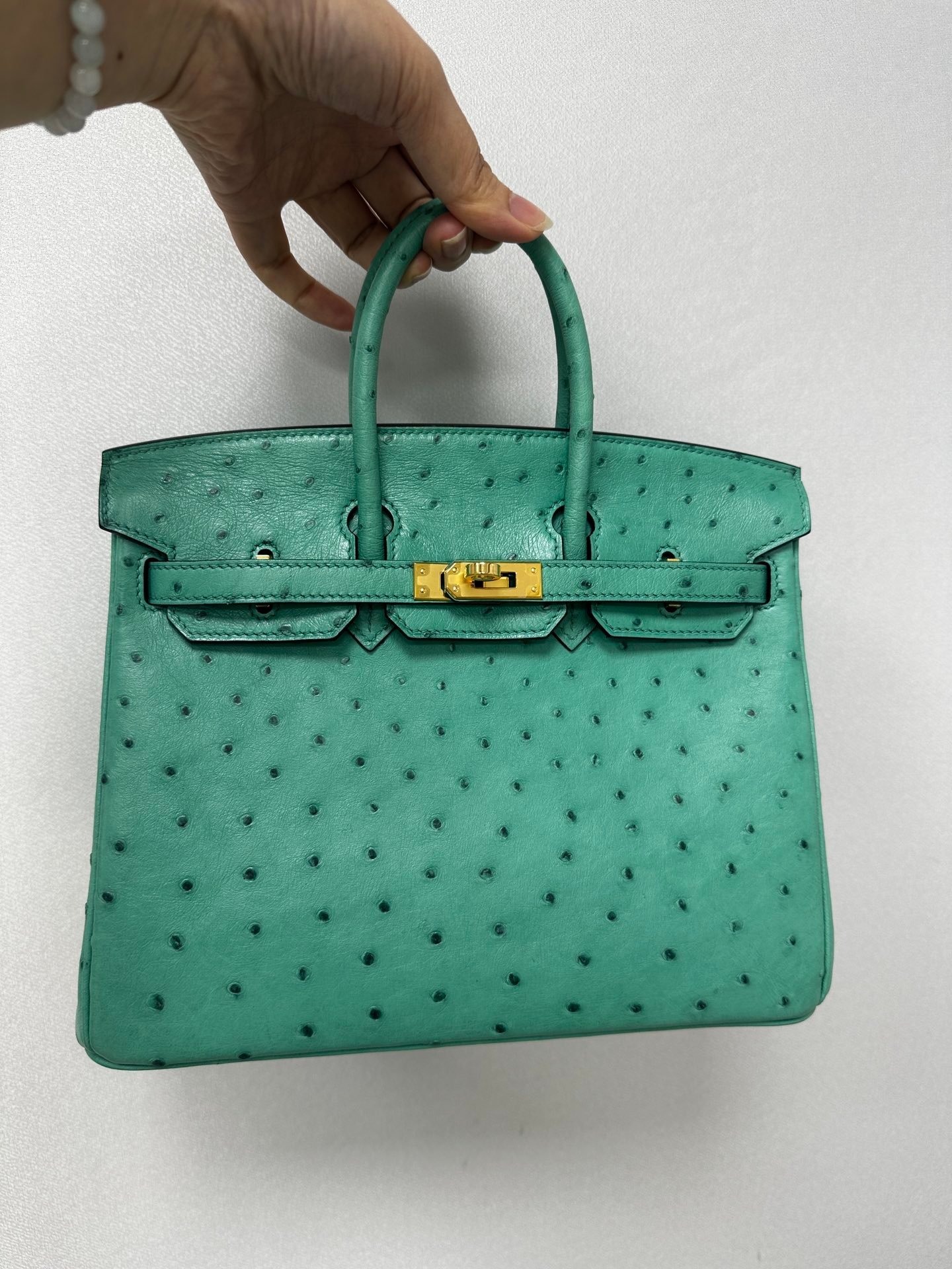 Birkin25